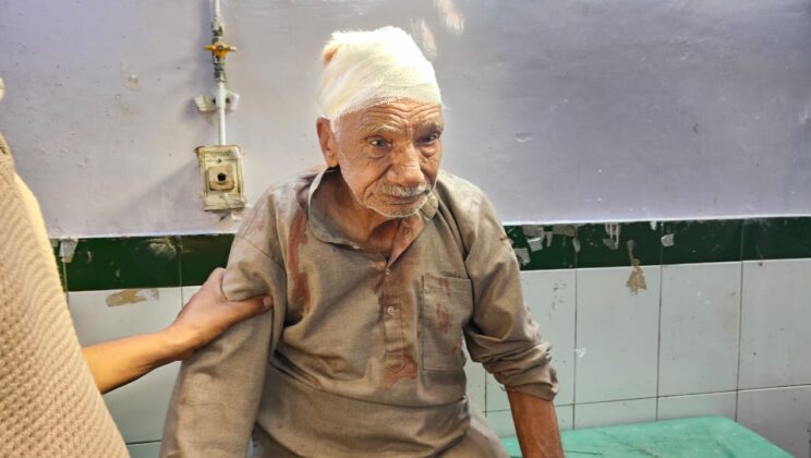 गरुड़ – कटखने बन्दरों के हमले से 93 वर्षीय बुजुर्ग घायल