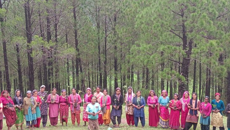 बागेश्वर – बुधवार को वन पंचायत रिठाड़ में लगाए 500 पौधें….. बाज ,फल्याट, आंवला,बुराँस,तिमिल व काफल