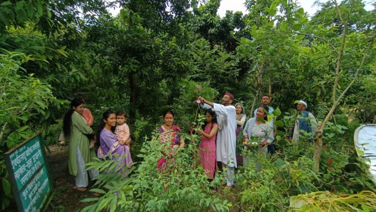 बागेश्वर – रक्षाबंधन के पावन पर्व पर देवकी लघु वाटिका में वृक्षों को रक्षा सूत्र में बांधकर दिया गया पर्यावरण संरक्षण का सन्देश