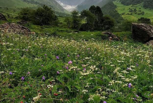 Uttarakhand:- पर्यटकों के लिए आज से बंद हुई फूलों की घाटी…. पढ़े पूरी खबर