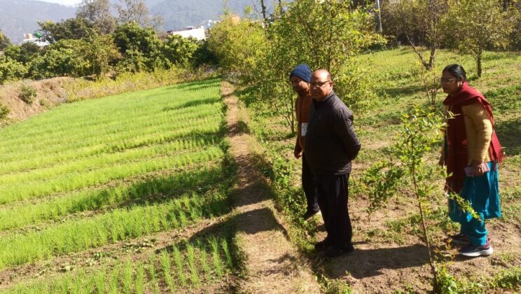 बागेश्वर – मुख्य विकास अधिकारी ने राजकीय पौधालय का किया निरीक्षण