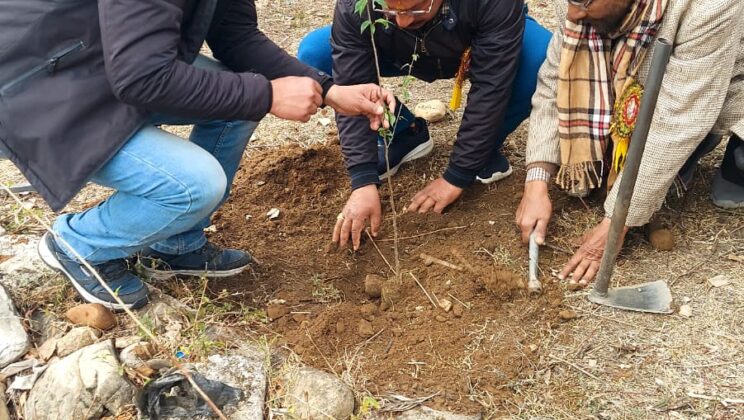 बागेश्वर:- पंडित बद्रीदत्त पांडे परिसर में स्थापना दिवस पर किया गया वृक्षारोपण……पूर्व निर्मित मंच को बड़ा बनाये जाने व छत निर्माण का दिया प्रस्ताव