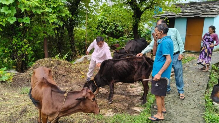 बागेश्वर – लम्पी स्किन डिजीज की रोकथाम को लेकर बागेश्वर में प्रभावी कदम, 52,234 गोवंशीय पशुओं का टीकाकरण
